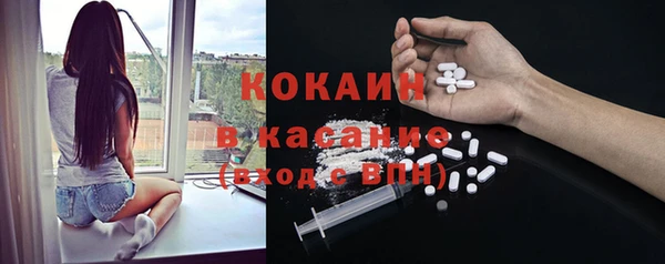 бошки Алексин