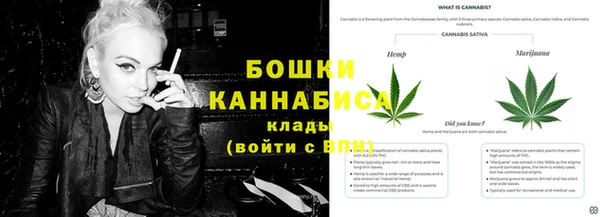 бошки Алексин