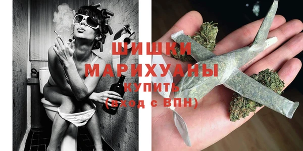 бошки Алексин