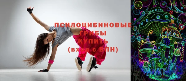 бошки Алексин